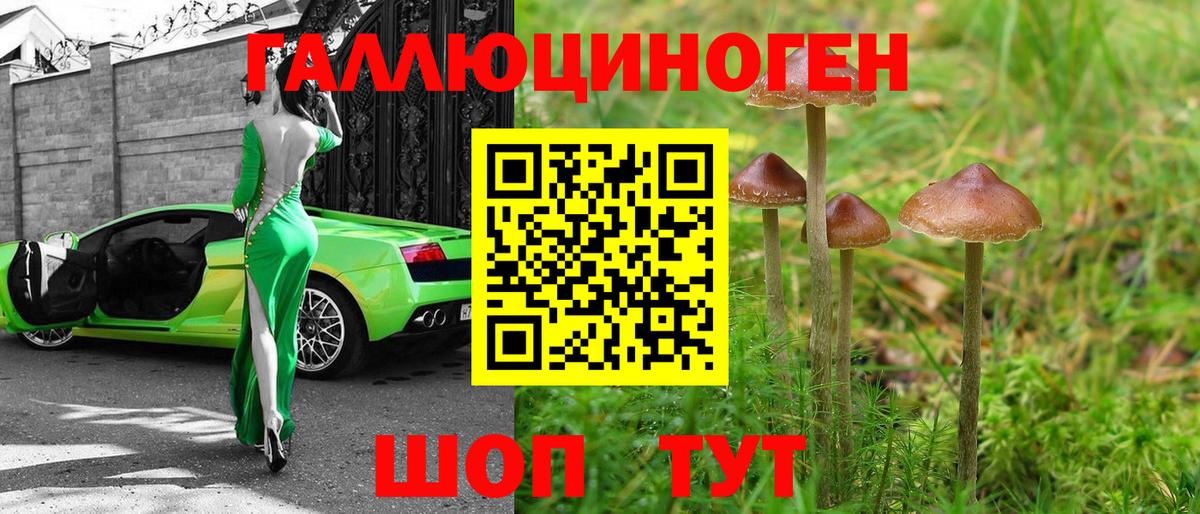 Псилоцибиновые грибы Magic Shrooms  Вход с VPN  Избербаш  Галлюциногенные грибы Magic Shrooms 