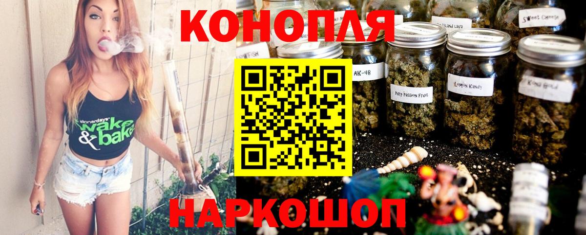 Конопля план  Канабис Bruce Banner  Каннабис марихуана  Вход с VPN  Избербаш 